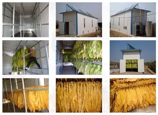 烟草烘干机的三段式烘烤技术介绍(附图) 烟草烘干机的三段式烘烤技术介绍(附图)